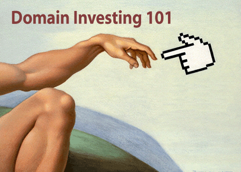 [domain-investing-101.gif]