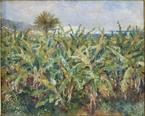 [Mus+dOrsay+Renoir+Banana+Trees+1881.jpg]