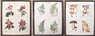 old botanical prints