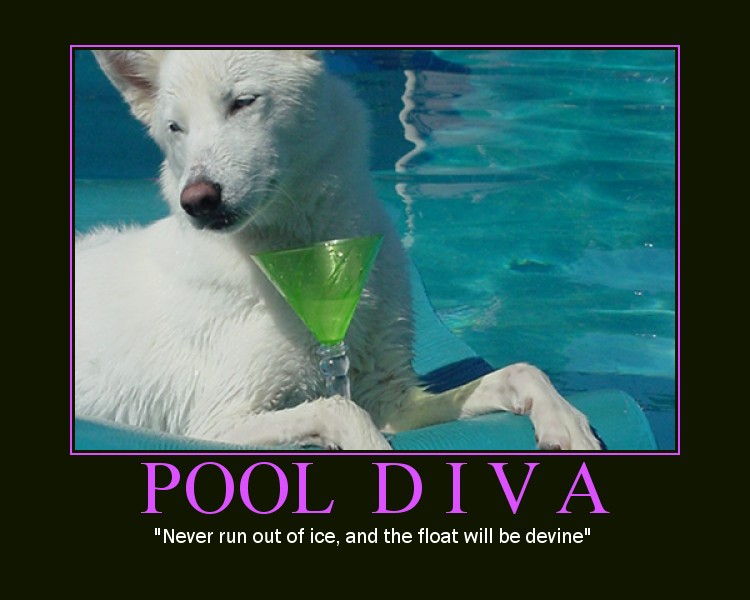 [Pool+Diva.jpg]