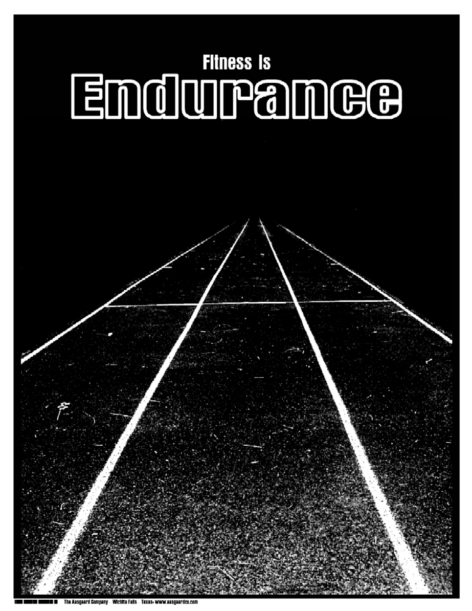 [endurance_poster_web.jpg]