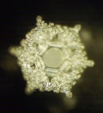 Dr. Emoto's Photo of Water hearing LOVE & GRATITUDE.  YOU are mainly water.