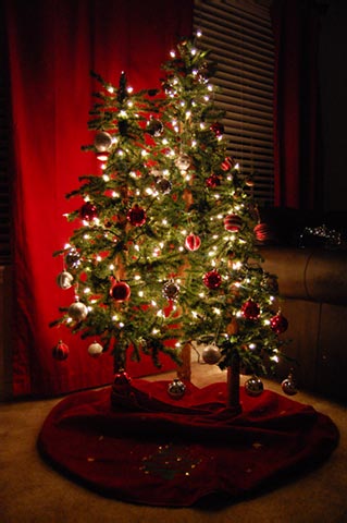[2007-11-27-Christmas+Decorating023.jpg]