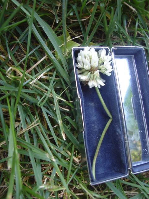 [flowercoffin.jpg]