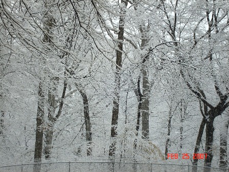 [snow+day.JPG]