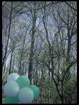 [Balloons_by_xChago.jpg]