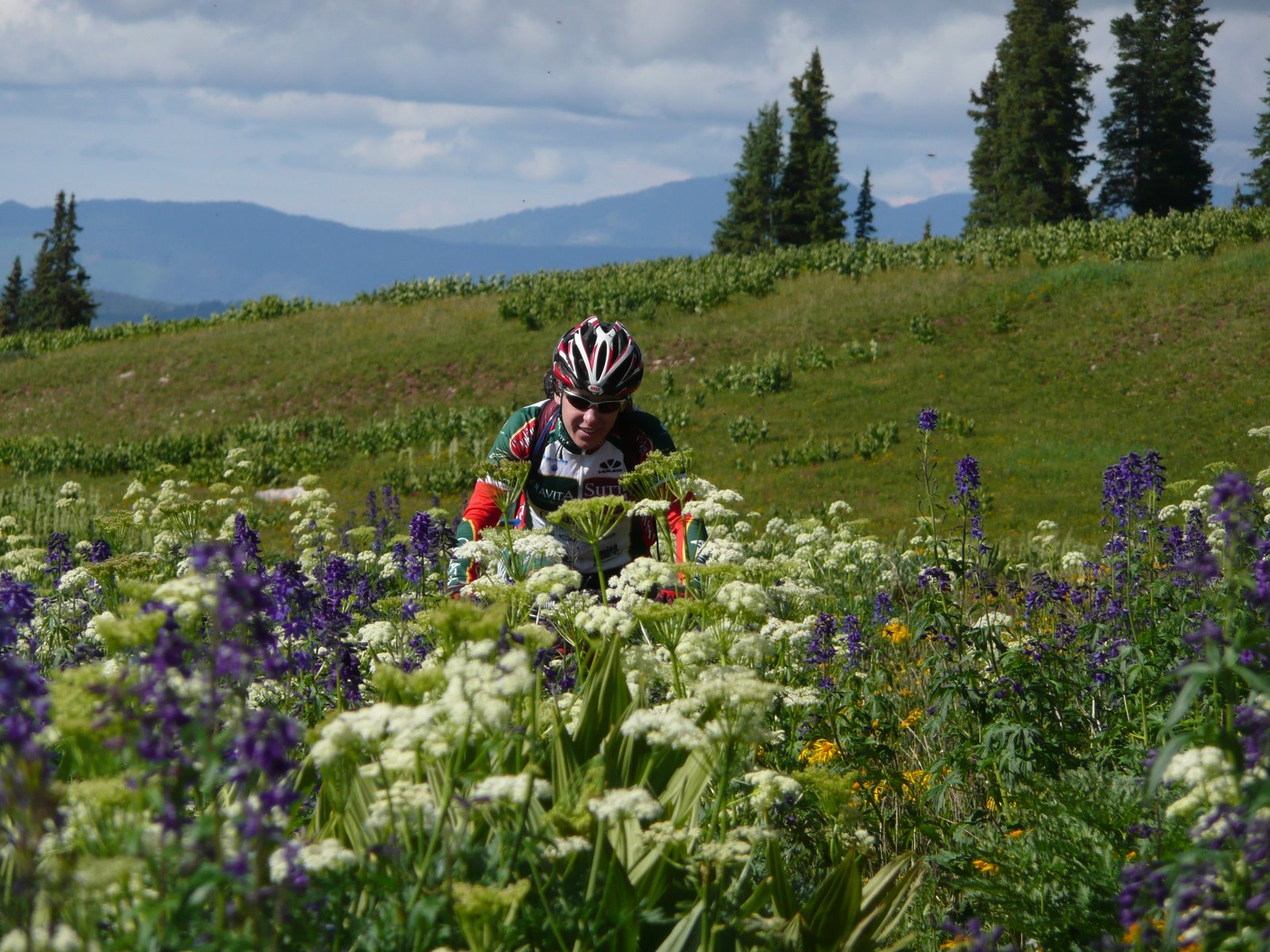 [Krista+riding+through+the+flowers+on+Engineer+Mountain+Trail.jpg]