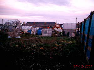 Allotment Year 