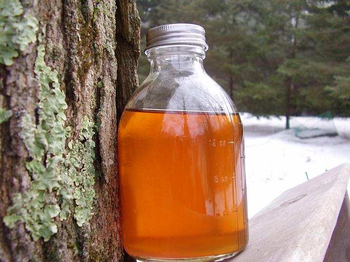 [syrup+outdoors.JPG]