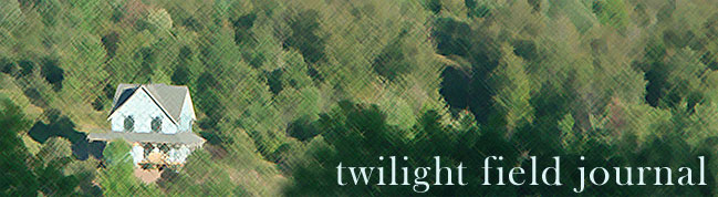 Twilight Field Journal