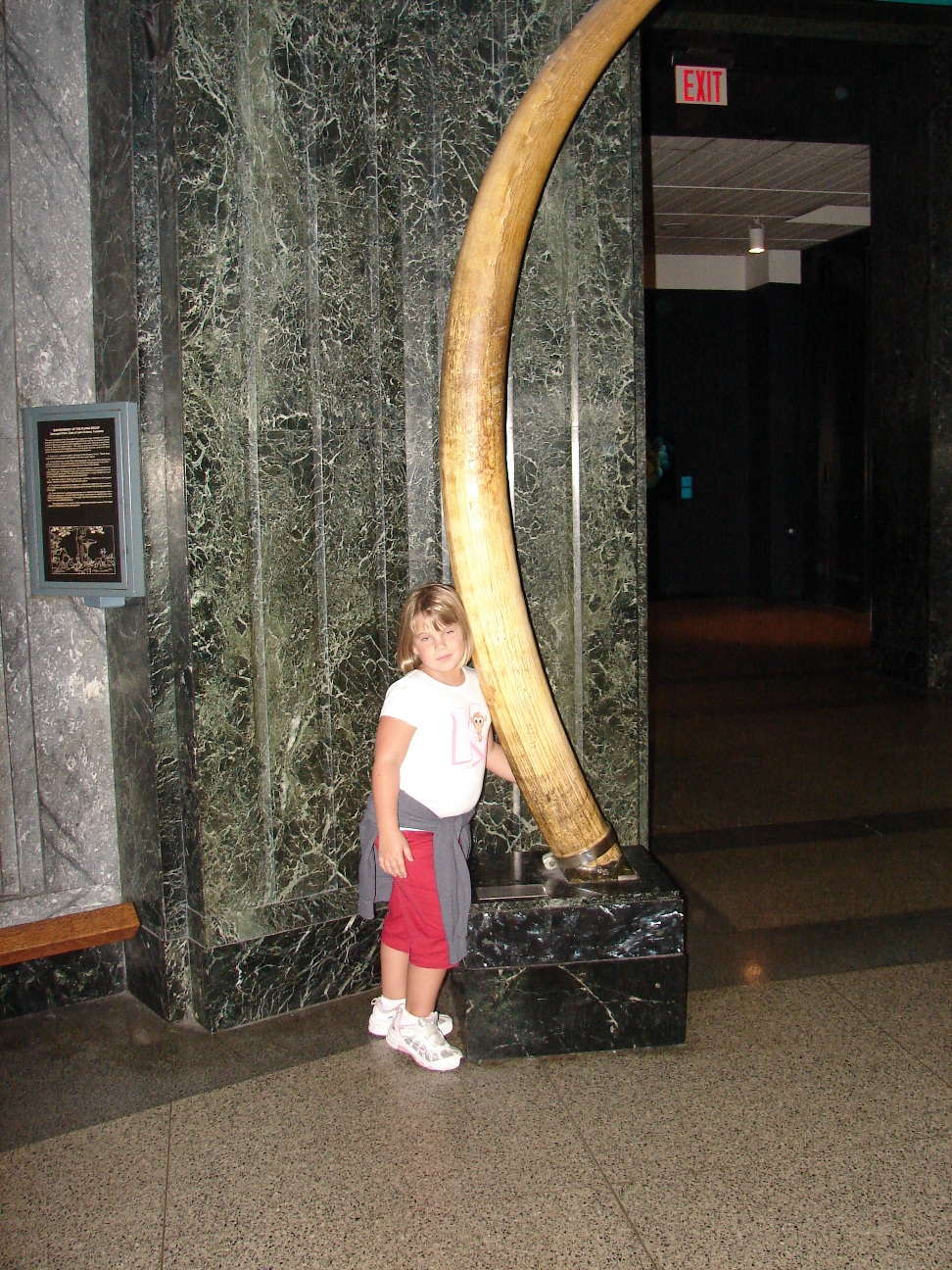 [Big+Tusk+at+Museum+of+Natural+History+September+2007.JPG]