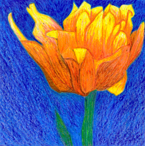 [yellow-and-orange-tulip-cra.gif]