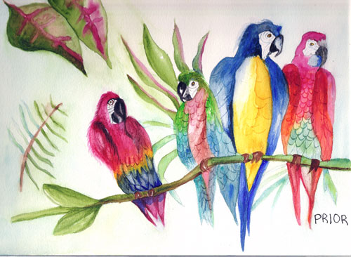 [three-parrots.jpg]