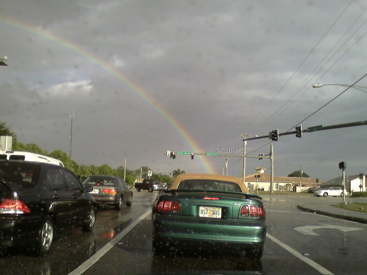 [rainbow+w+copyright.jpg]