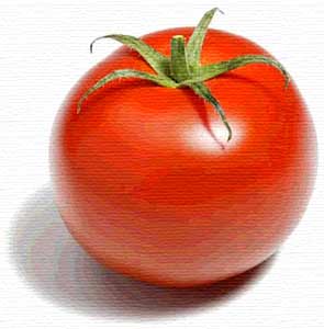 [meleobro.tomate.jpg]