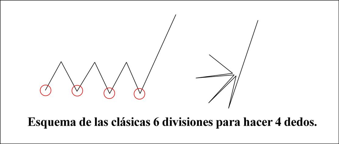 [6+divisiones.jpg]
