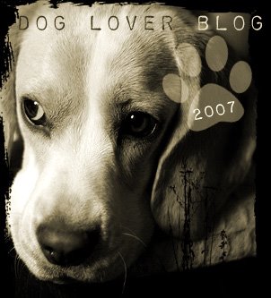 [dog_lover_blog.jpg]