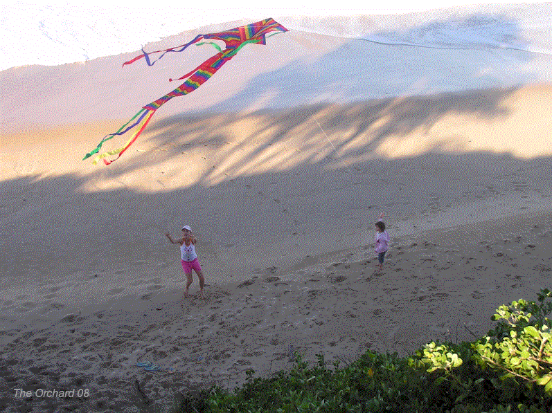 [kite+flying.gif]