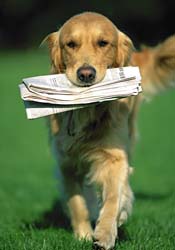 [dog+newspaper+2.jpg]