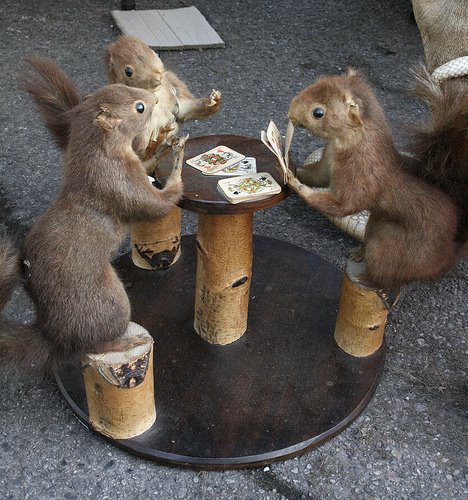 [squirrels+playing+poker.jpg]