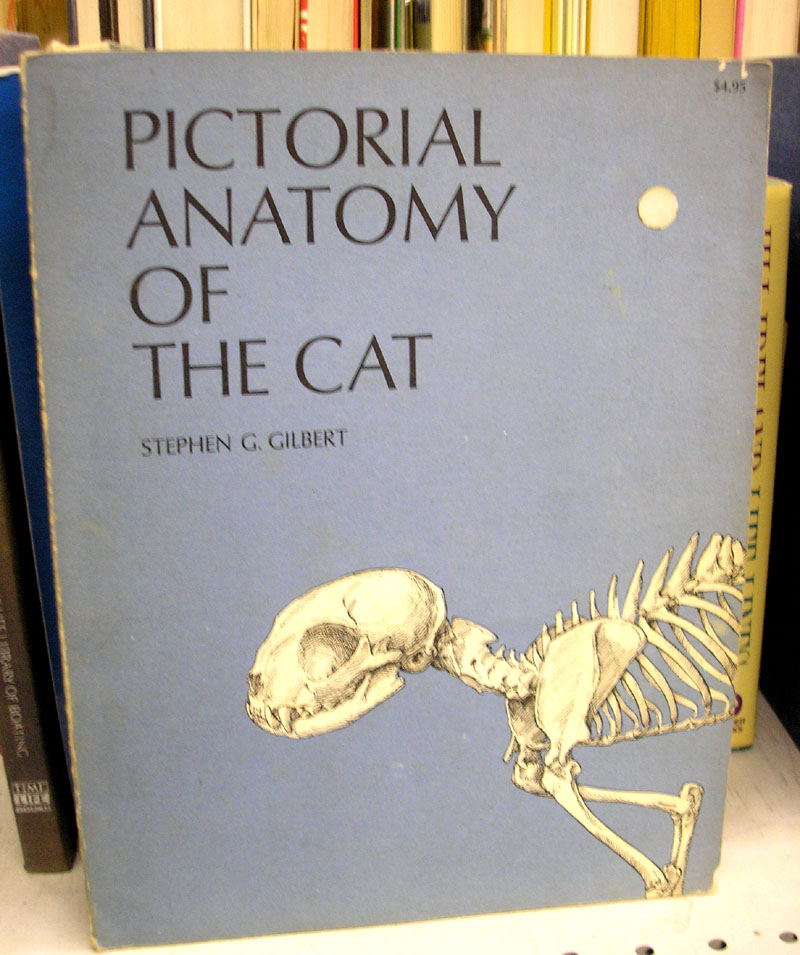 [book+cat+anatomy+-+small.JPG]