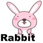 [Rabbit.jpg]