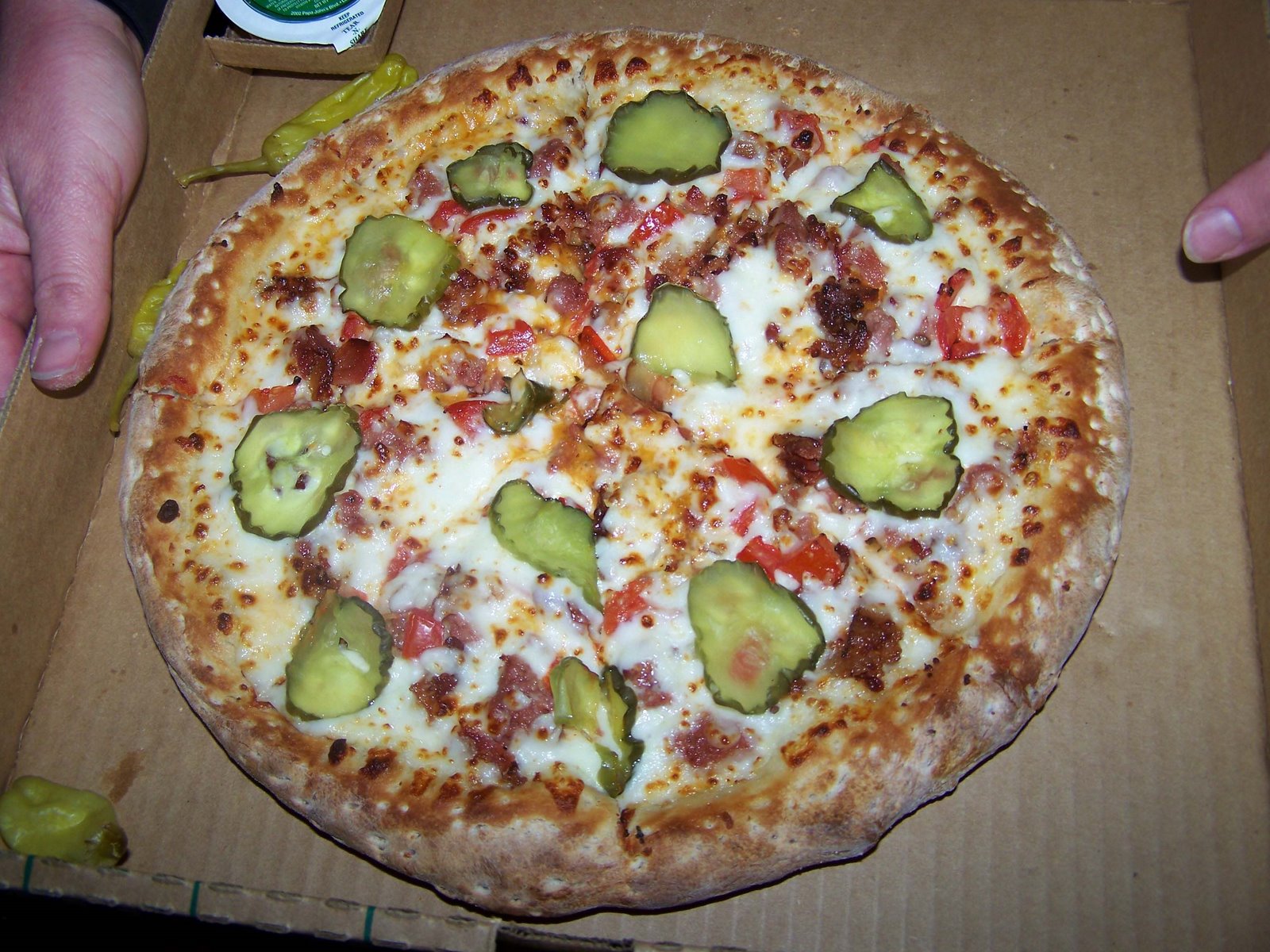 [blog+the+pizza.jpg]
