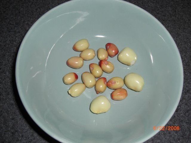 [perfect+beans.JPG]