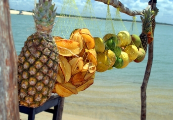 [fruit+beach.JPG]