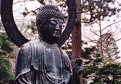 [Buddha5.jpg]