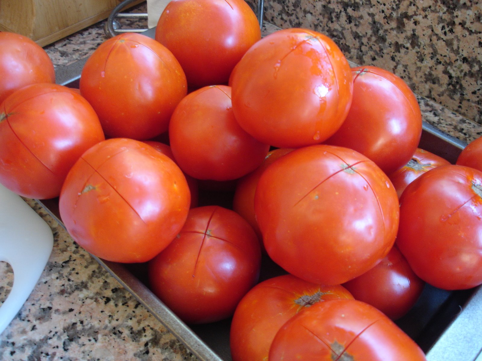[tomatoes+close.JPG]