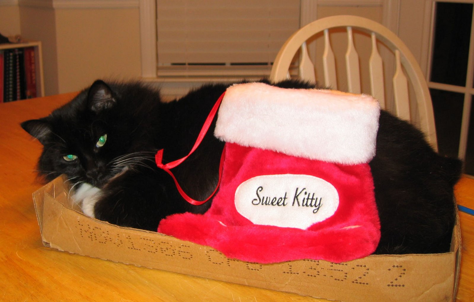 [Kitty.stocking2.jpg]
