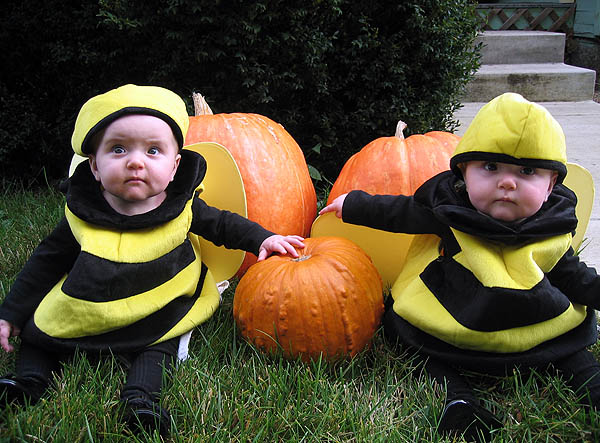 [2+baby+bees.jpg]