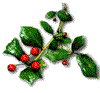 [mistletoe1.gif]
