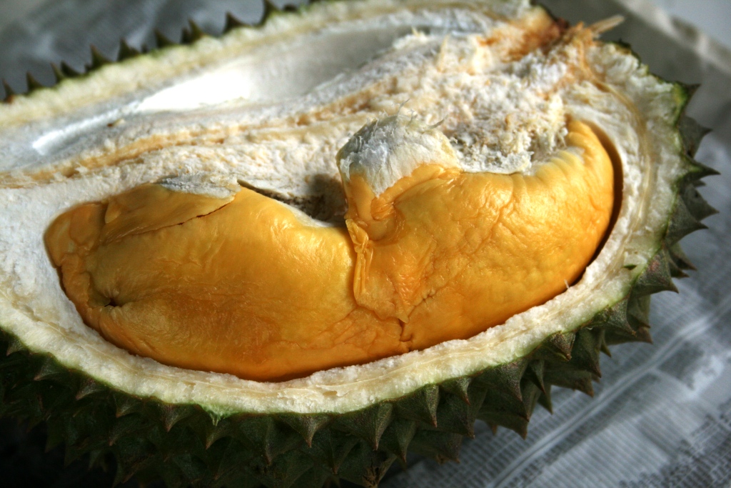 [durian+3.JPG]
