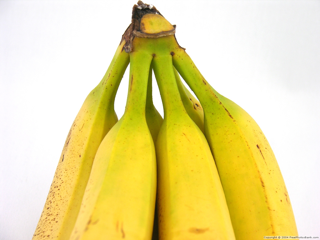 [Banana.jpg]