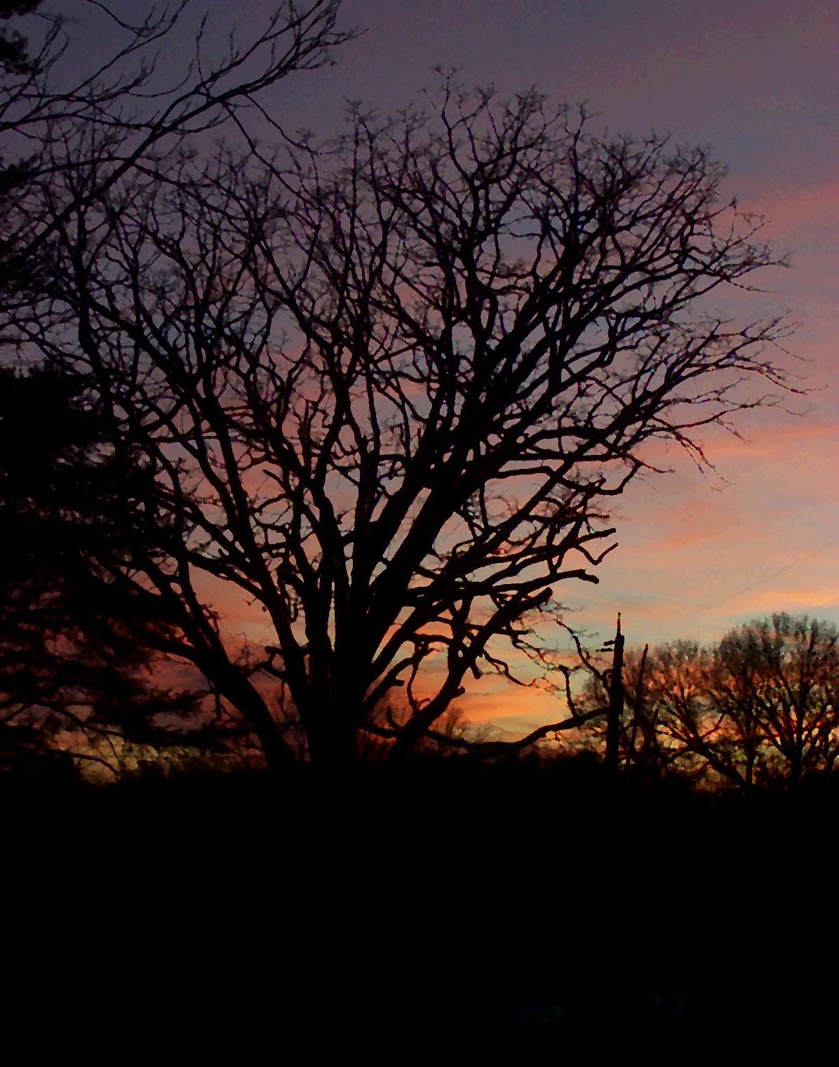 [sunset+tree+oil+paint.jpg]