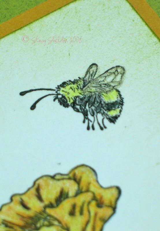 [think+spring+poppy+bee+crop.jpg]