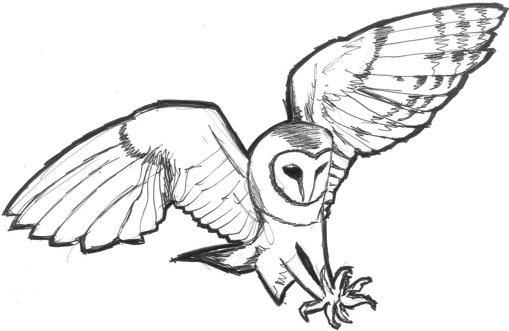 [prep-sketch-owl.jpg]