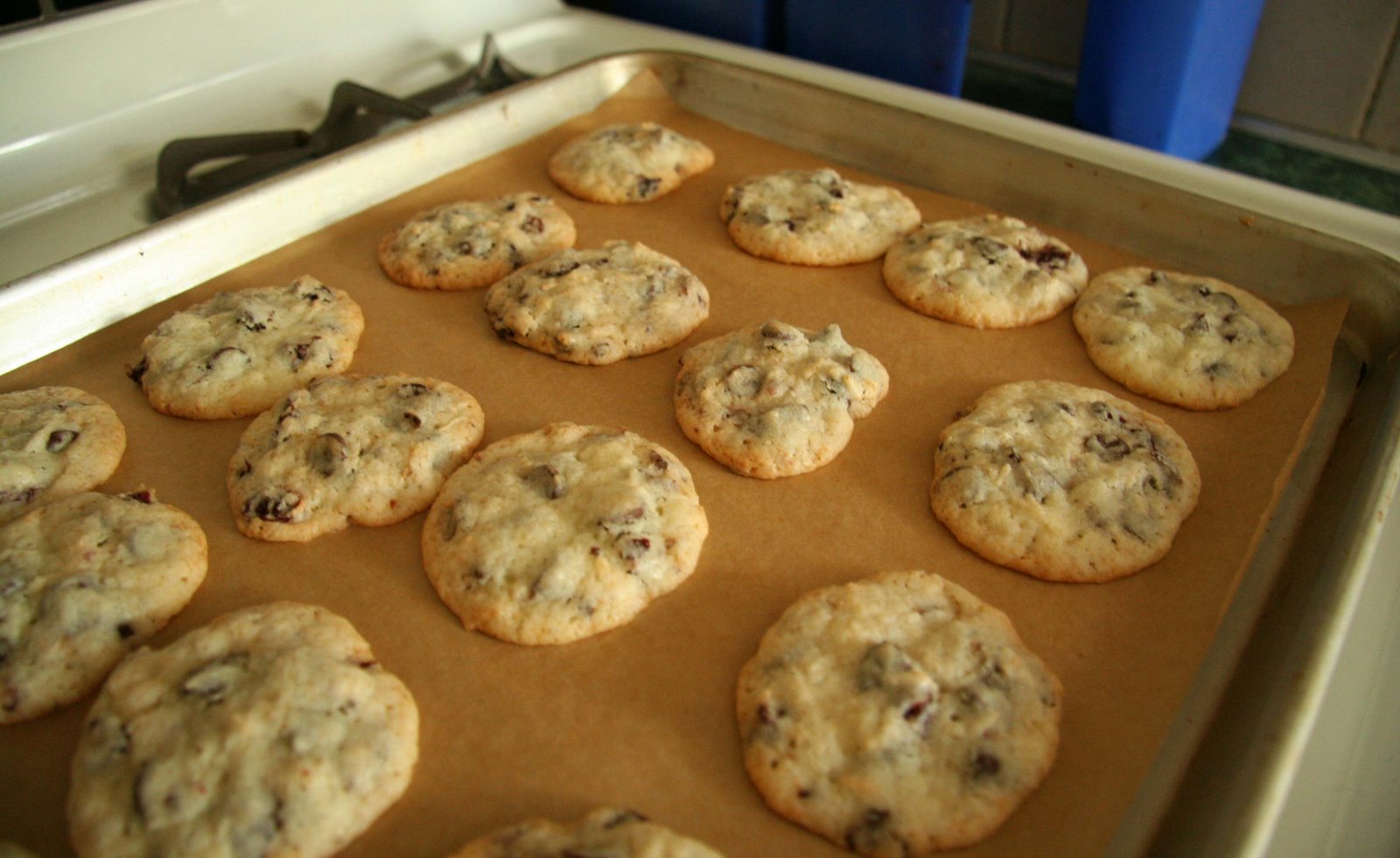 [baked+cookies.jpg]