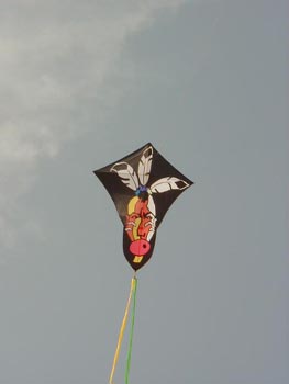 [jodhpur(kite+festival)4+copy.jpg]