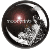 [moonprints_lg2.gif]