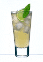 [cocktail_moscow_mule.gif]