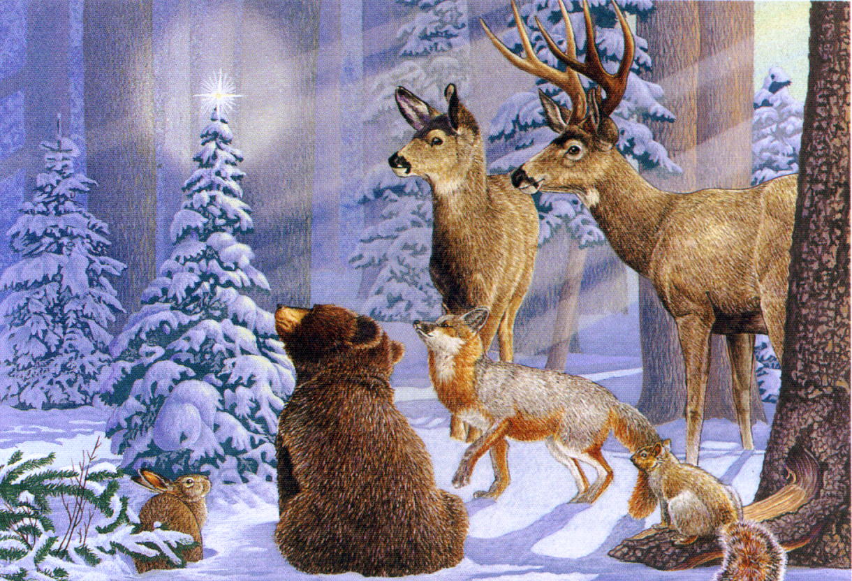 [animals+christmas.jpg]
