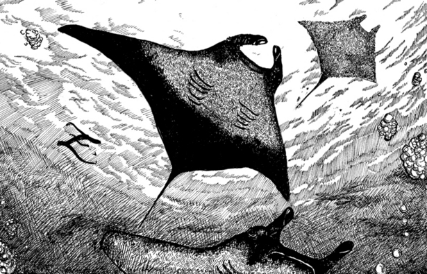 [Manta_Ray_Pen_and_Ink_by_TheAmericanDream.jpg]