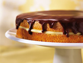 [gâteau+vanille-chocolat.jpg]