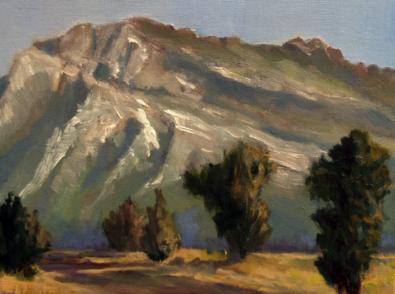 [Catalina+Mountains-field-study-3.jpg]