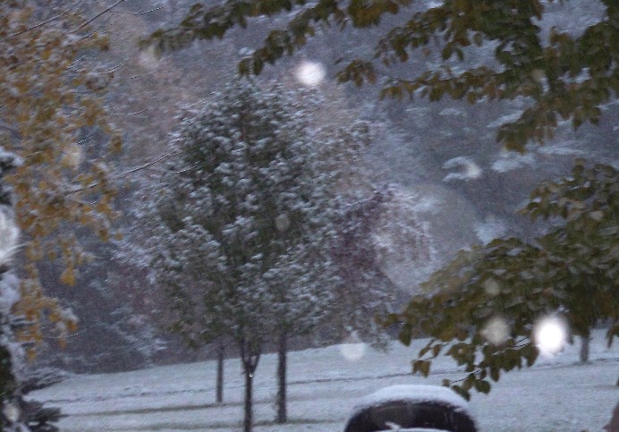 [Snow+Nov+18.JPG]
