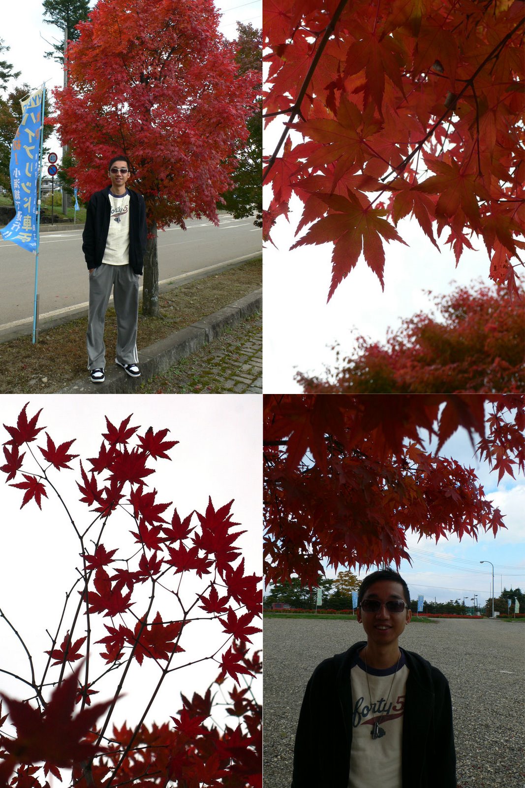 [e+red+leaf.jpg]
