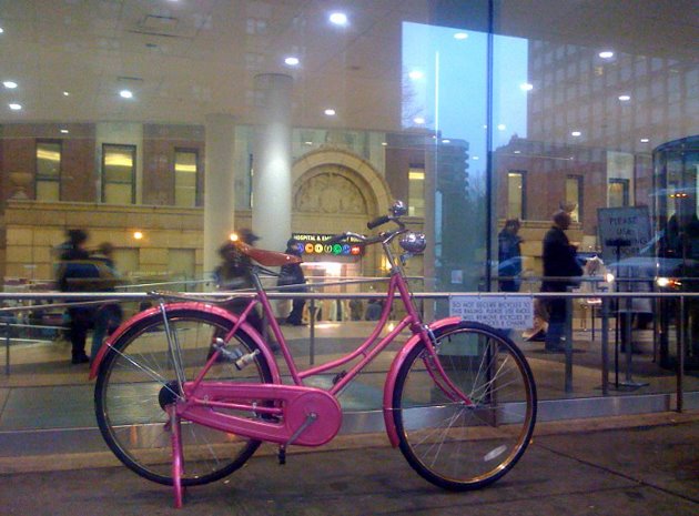 [A+pink+Flying+Pigeon+in+front+of+Bellevue+Hospital+in+Manhattan..jpg]